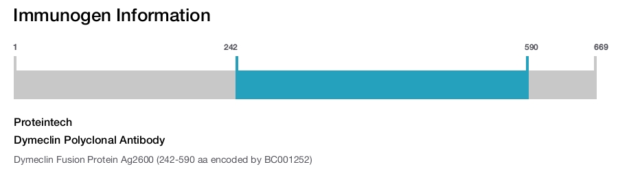 Dymeclin Polyclonal Antibody