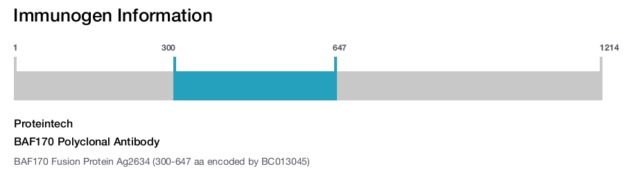 BAF170 Polyclonal Antibody