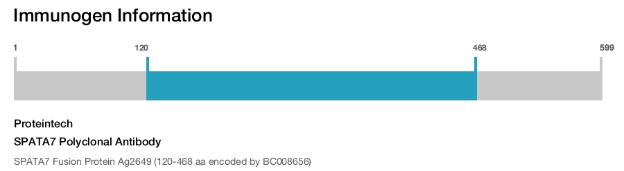 SPATA7 Polyclonal Antibody