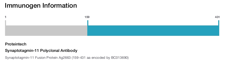 Synaptotagmin-11 Polyclonal Antibody