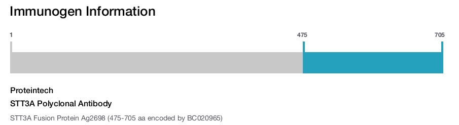 STT3A Polyclonal Antibody