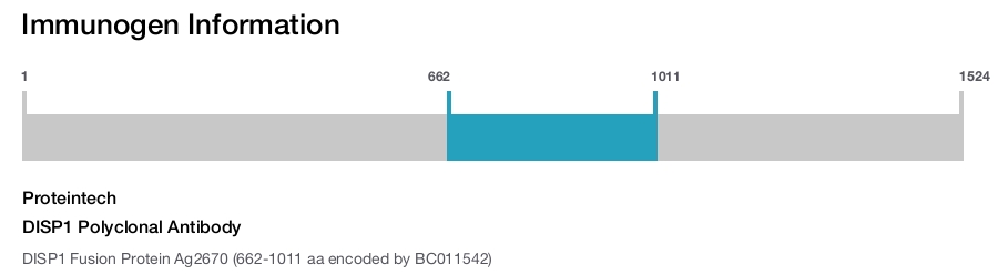 DISP1 Polyclonal Antibody