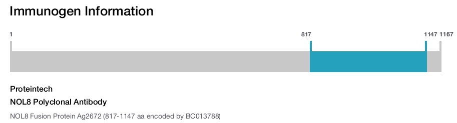 NOL8 Polyclonal Antibody