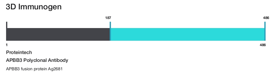 APBB3 Polyclonal Antibody