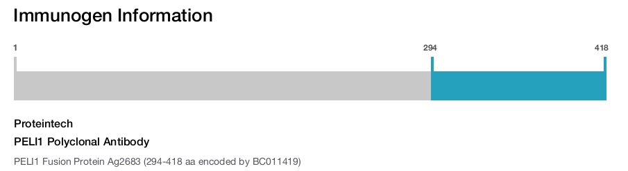 PELI1 Polyclonal Antibody