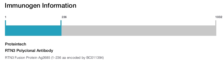 RTN3 Polyclonal Antibody