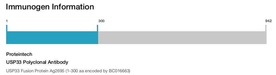 USP33 Polyclonal Antibody