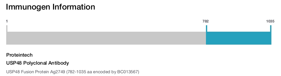 USP48 Polyclonal Antibody
