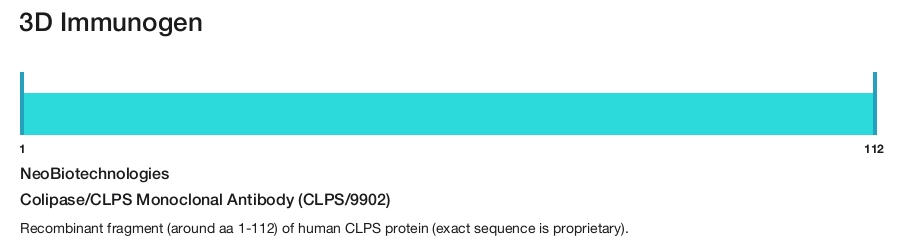 Colipase/CLPS Monoclonal Antibody (CLPS/9902)
