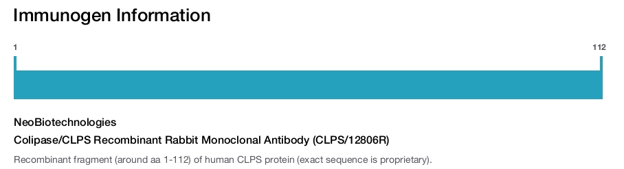Colipase/CLPS Recombinant Rabbit Monoclonal Antibody (CLPS/12806R)