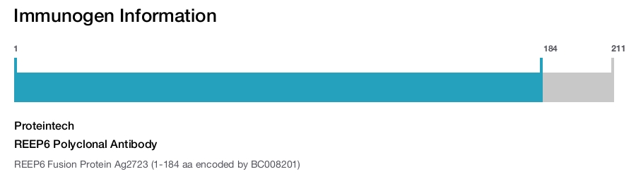 REEP6 Polyclonal Antibody