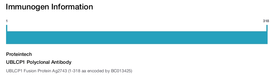 UBLCP1 Polyclonal Antibody
