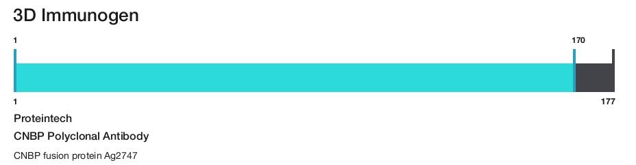 CNBP Polyclonal Antibody