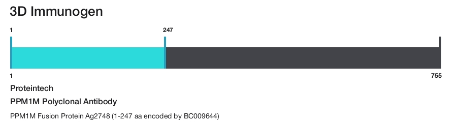 PPM1M Polyclonal Antibody