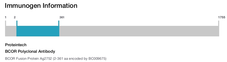BCOR Polyclonal Antibody