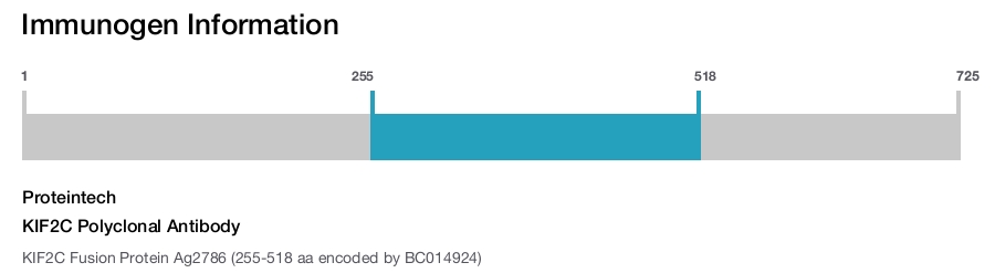 KIF2C Polyclonal Antibody