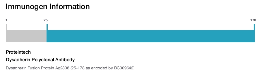 Dysadherin Polyclonal Antibody