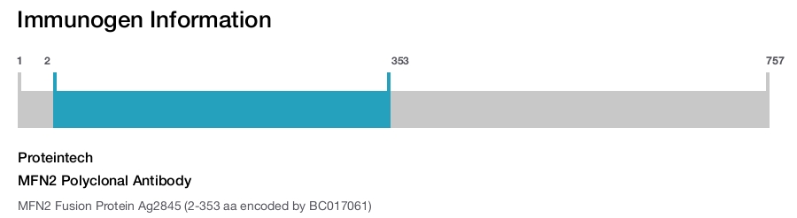 MFN2 Polyclonal Antibody
