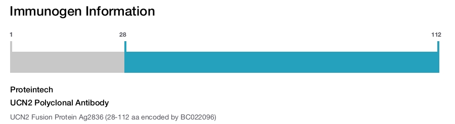UCN2 Polyclonal Antibody