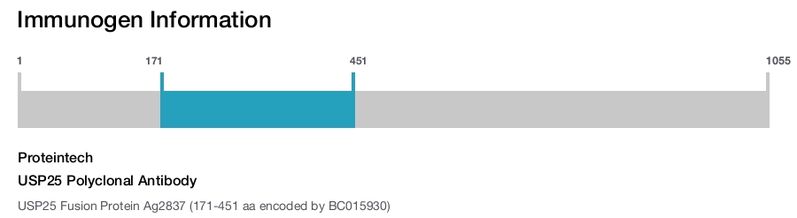 USP25 Polyclonal Antibody