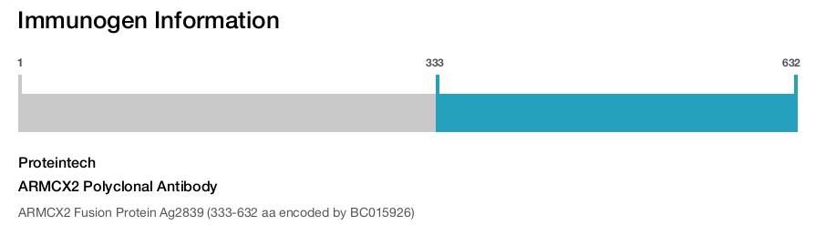 ARMCX2 Polyclonal Antibody