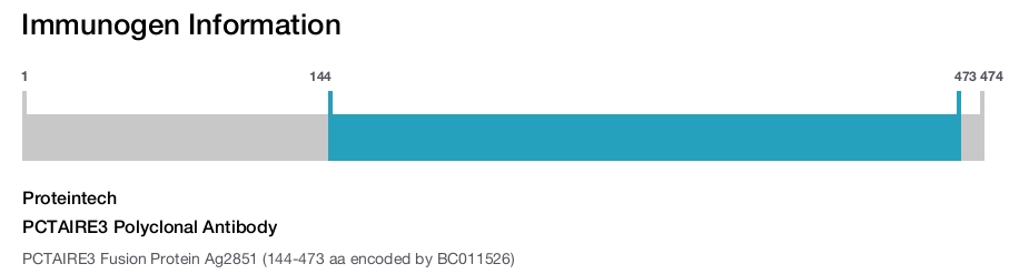 PCTAIRE3 Polyclonal Antibody