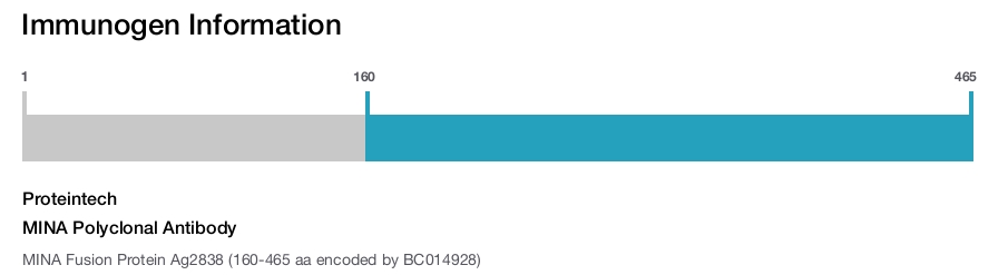 MINA Polyclonal Antibody