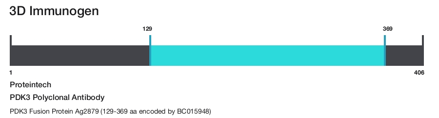 PDK3 Polyclonal Antibody