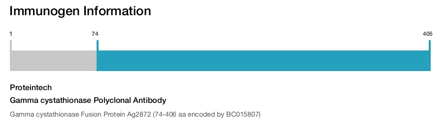 Gamma cystathionase Polyclonal Antibody