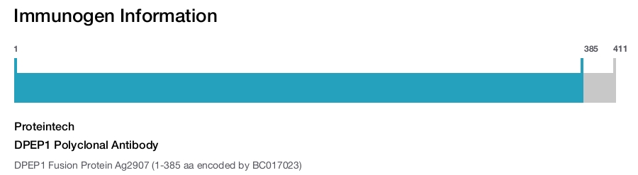 DPEP1 Polyclonal Antibody
