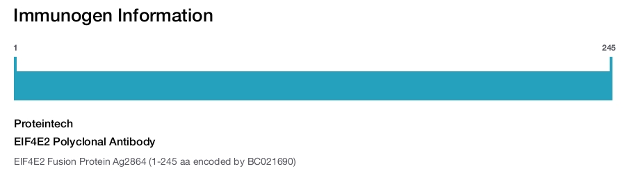 EIF4E2 Polyclonal Antibody