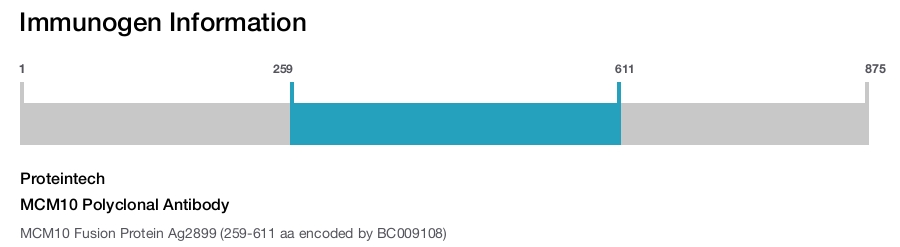 MCM10 Polyclonal Antibody