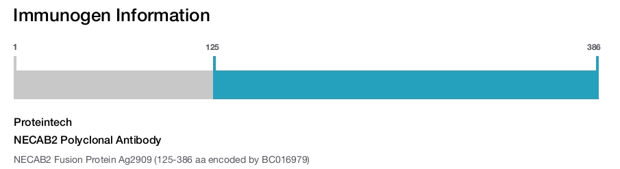 NECAB2 Polyclonal Antibody