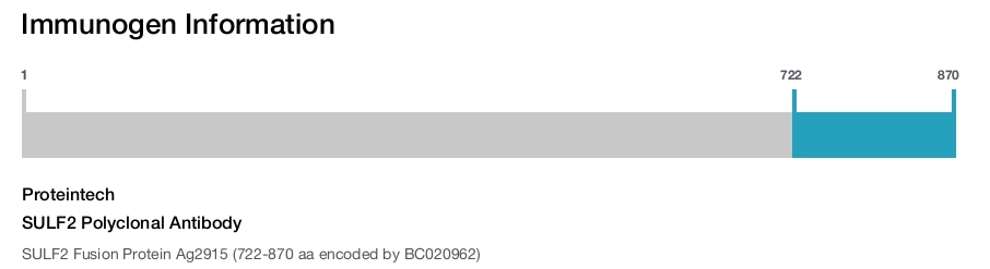 SULF2 Polyclonal Antibody
