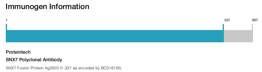 SNX7 Polyclonal Antibody