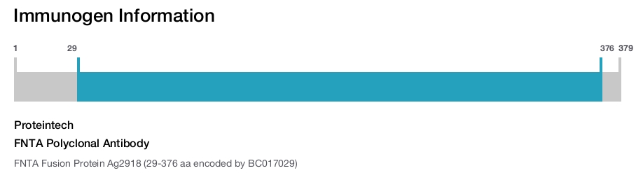 FNTA Polyclonal Antibody