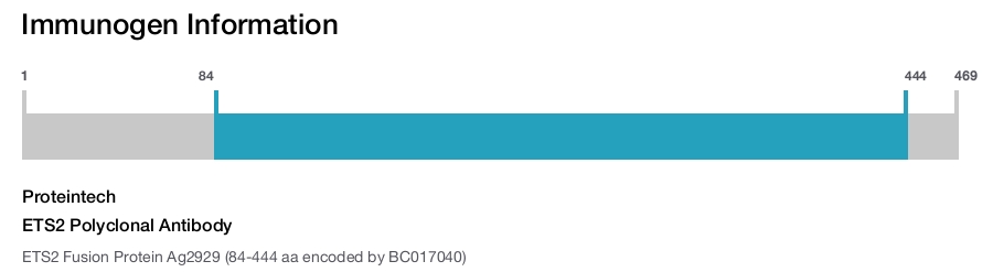 ETS2 Polyclonal Antibody