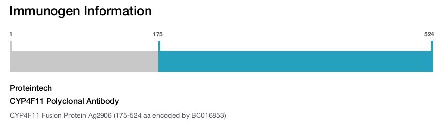 CYP4F11 Polyclonal Antibody