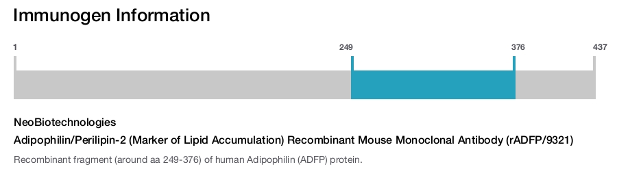 Adipophilin/Perilipin-2 (Marker of Lipid Accumulation) Recombinant Mouse Monoclonal Antibody (rADFP/9321)