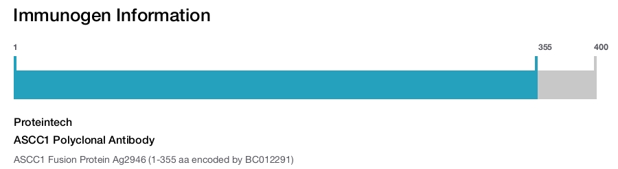 ASCC1 Polyclonal Antibody
