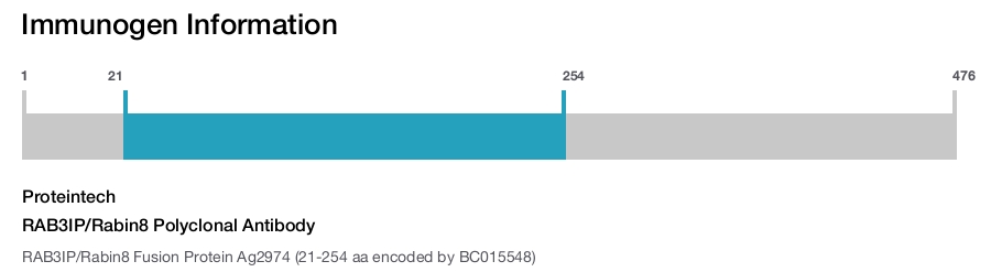 RAB3IP/Rabin8 Polyclonal Antibody