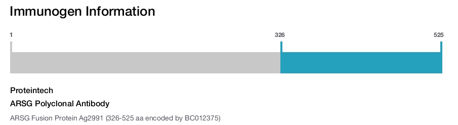 ARSG Polyclonal Antibody