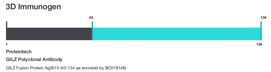 GILZ Polyclonal Antibody
