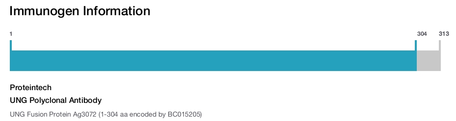 UNG Polyclonal Antibody