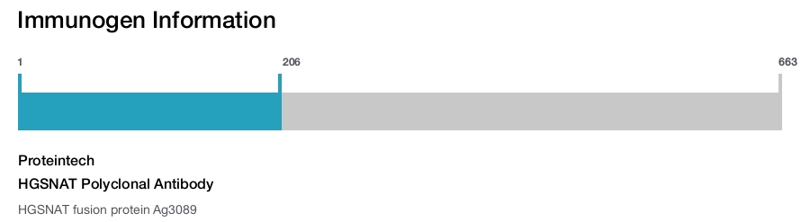 HGSNAT Polyclonal Antibody