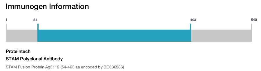 STAM Polyclonal Antibody