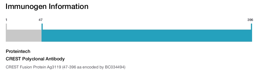CREST Polyclonal Antibody
