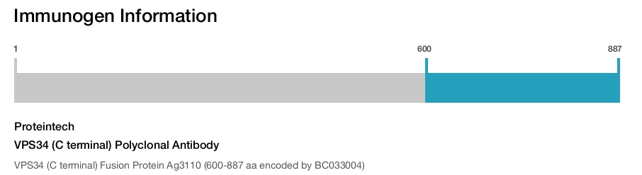 VPS34 (C terminal) Polyclonal Antibody