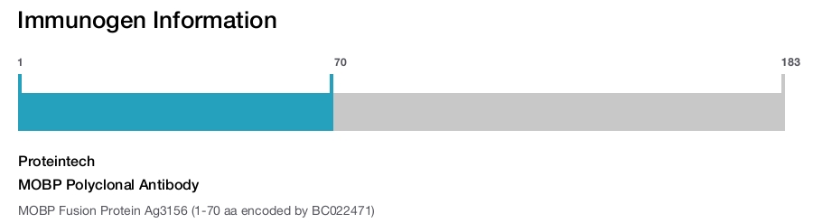 MOBP Polyclonal Antibody