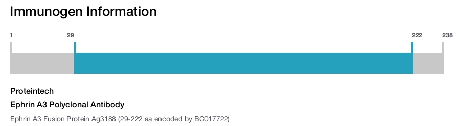 Ephrin A3 Polyclonal Antibody